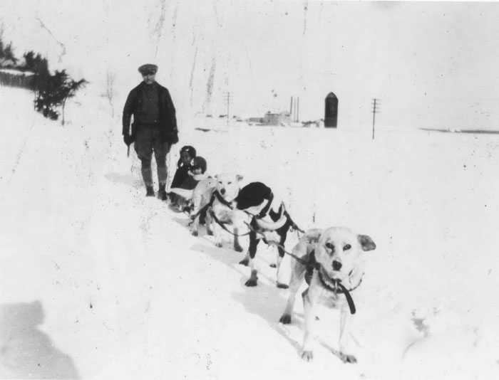 Jack Leve with dog team, Biscotasing, 1920